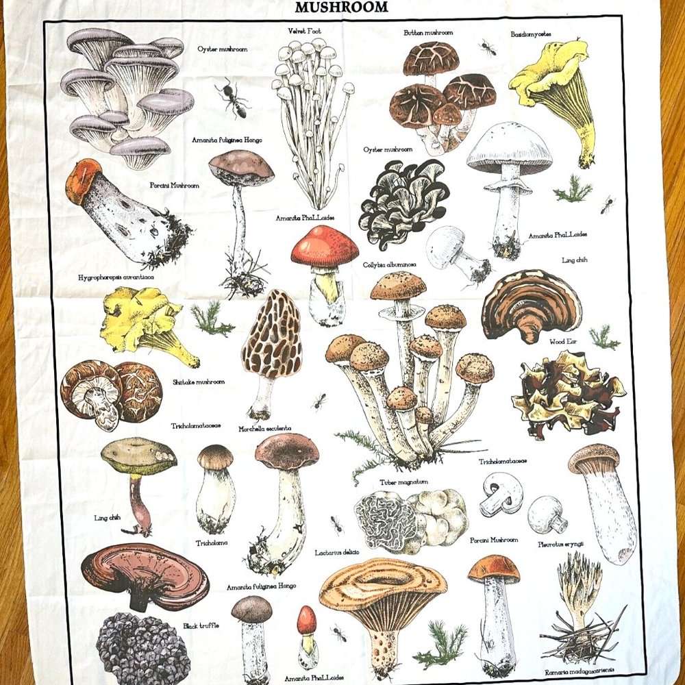 Vintage Mushrooms Botanical Print Decal Antique Home Wall Art Unframed 58x50